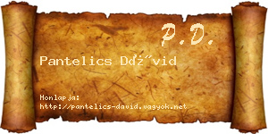 Pantelics Dávid névjegykártya
